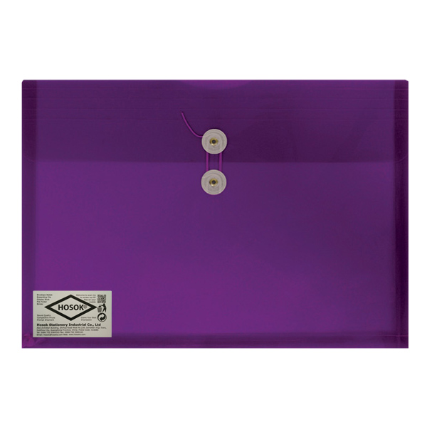 HS219 legal string tie envelope