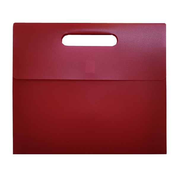 HS454 velcro carry case