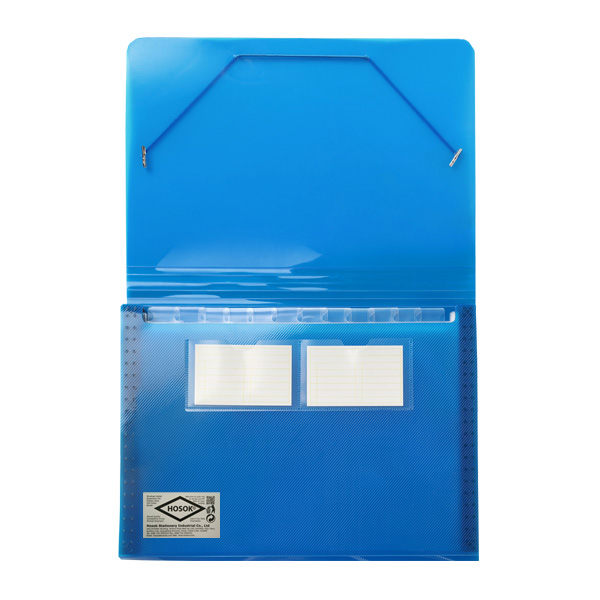 HS312 elastic 13 pkts expanding file