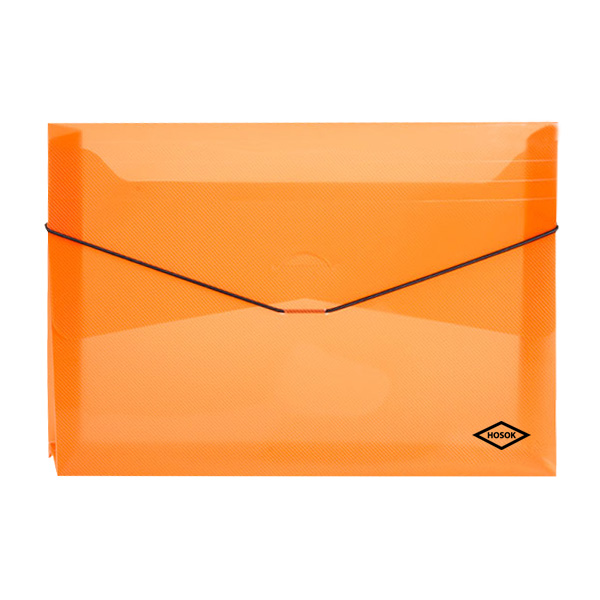 HS470 elastic closure carry case