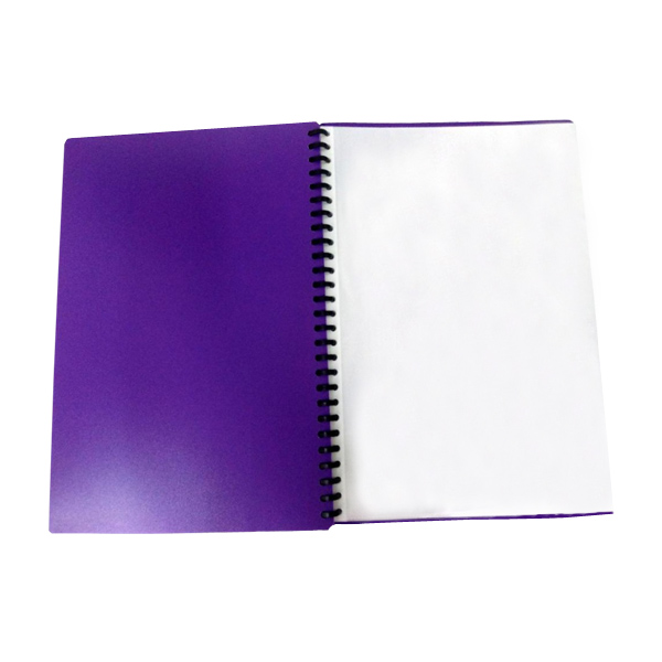 HS482 LG refillable clear book
