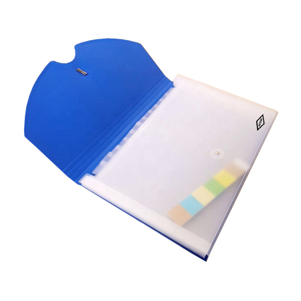HS318 elastic 13 pkts expanding file