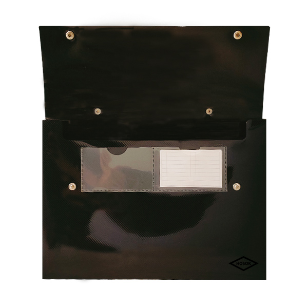 HS471 snap carry case